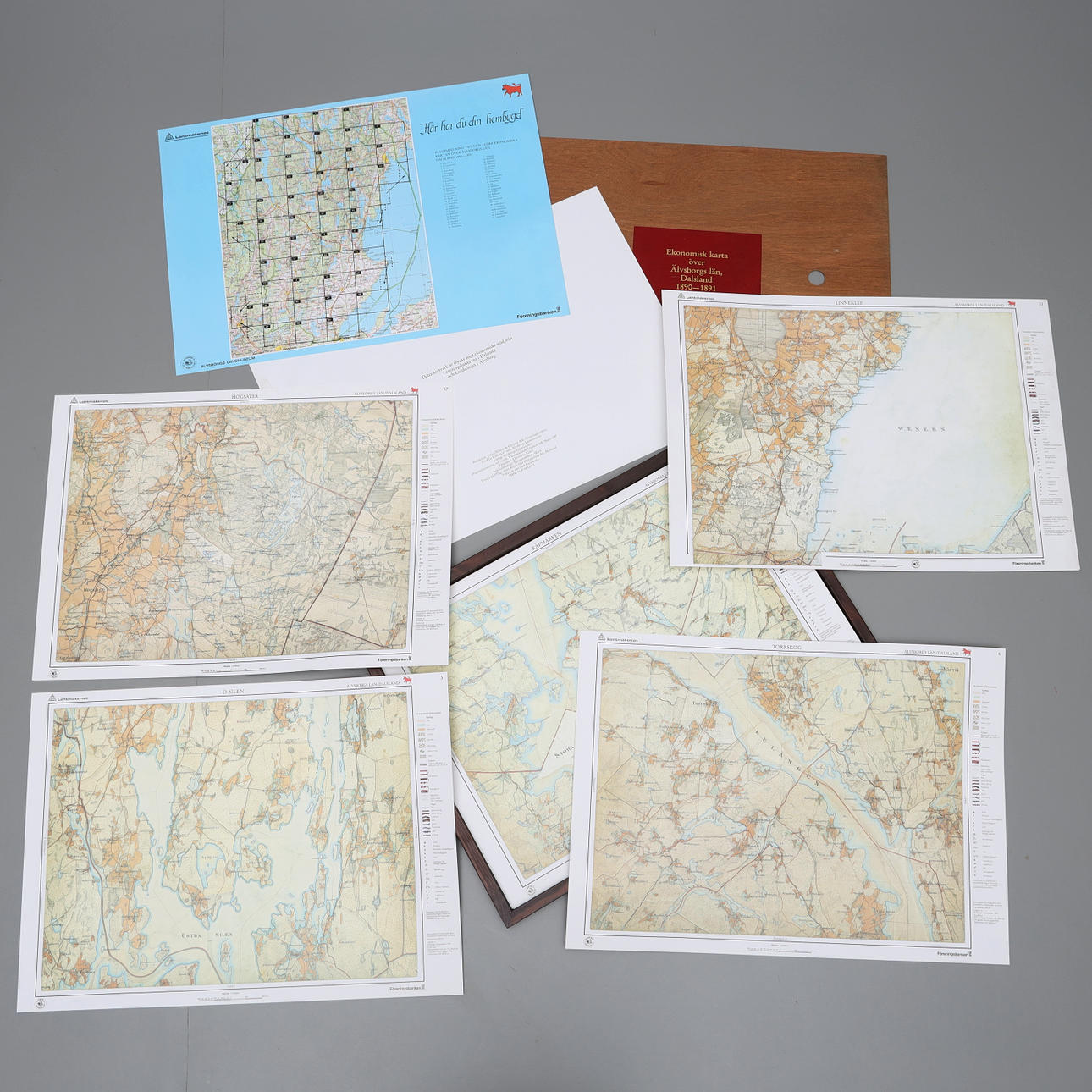 ECONOMIC MAPS, 1 box, Älvsborg county-Dalsland, 1890-1891.