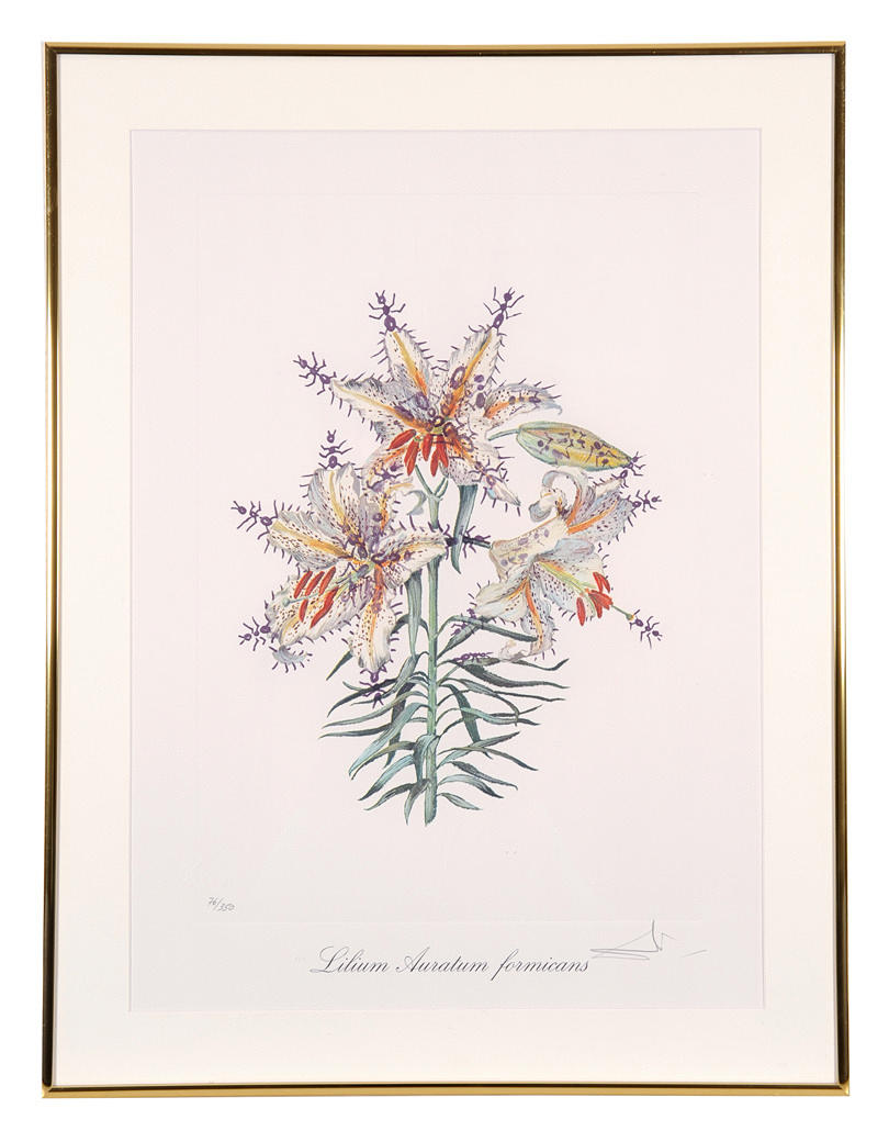 SALVADOR DALI, SURREALISTIC FLOWERS. Färglitografi ”Gyllene lilja, besökt av myror. Lilium Auratum Formicans ”.