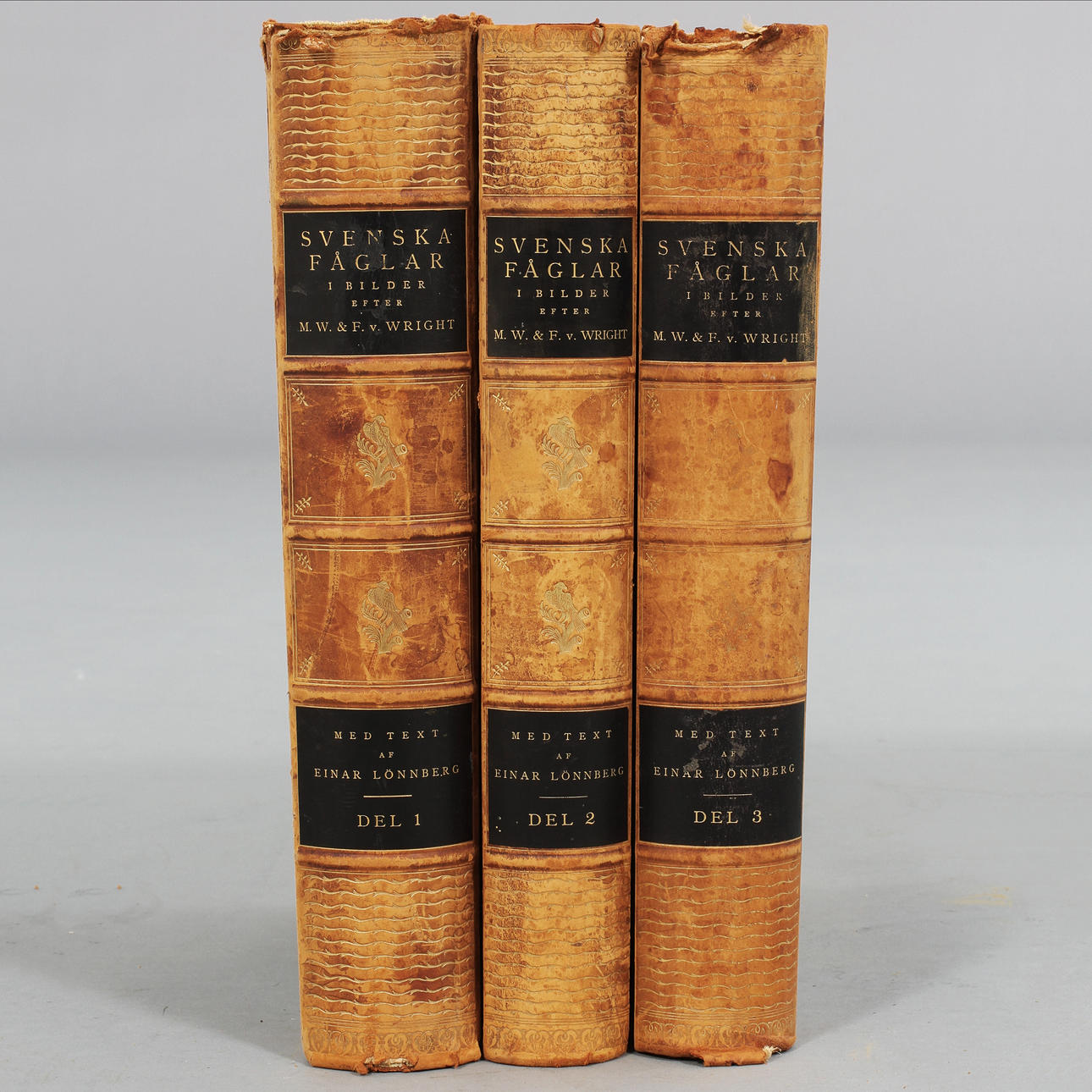 SVENSKA FÅGLAR, 3 band, M.W.& F.v. Wright.