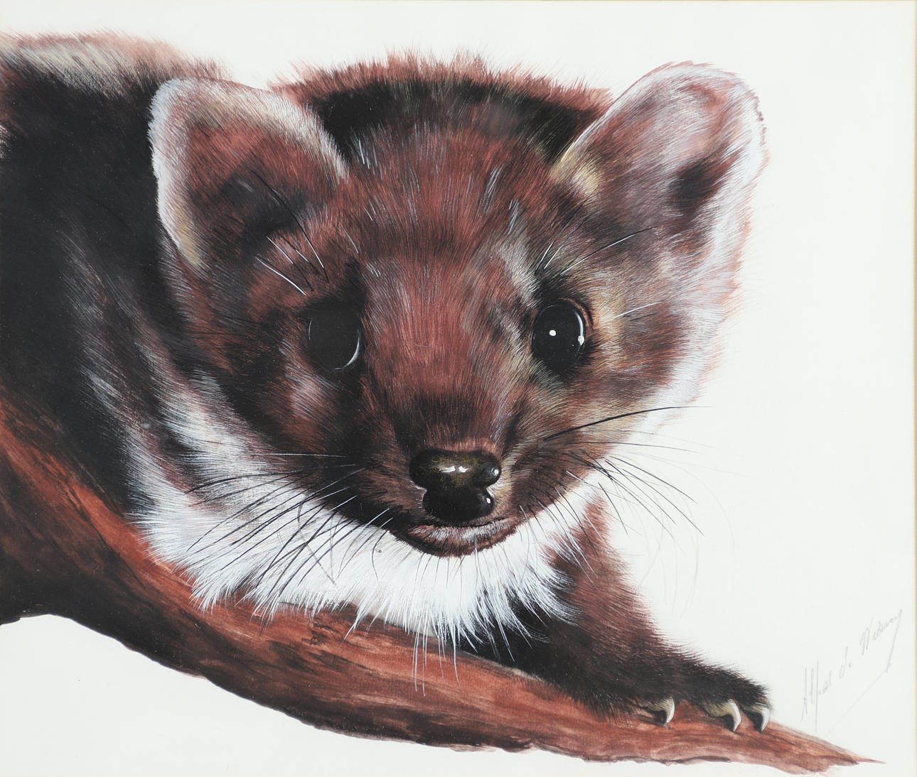 ALFRED DE WIARY (B.1938). PINE MARTEN (2); PINE MARTEN IN WINTER COAT; HEAD OF A THOROUGHBRED; HEAD OF A LYNX.