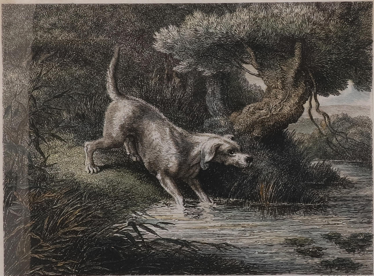 WILLIAM SAMUEL HOWITT (BRITISH, C.1765-1822). LA NUTRIA.