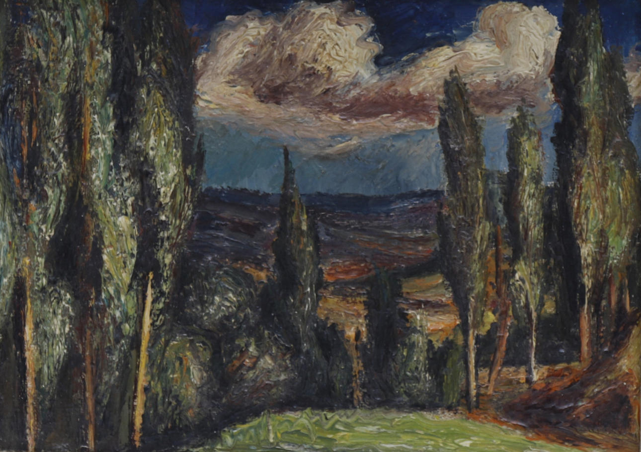 MIQUEL VILLÀ. Berga-Landschaft.