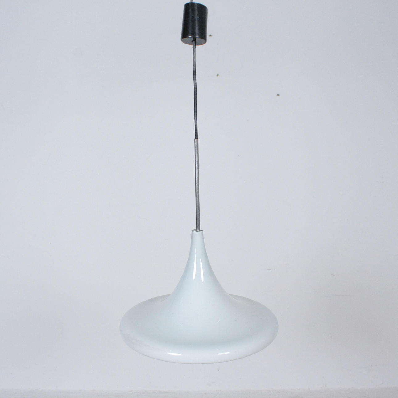 Tulppaani kattovalaisin.