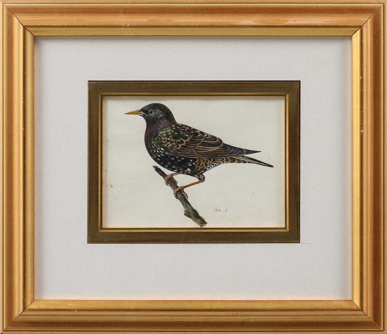 MOSSE STOOPENDAAL. Fågel, akvarell signerad.