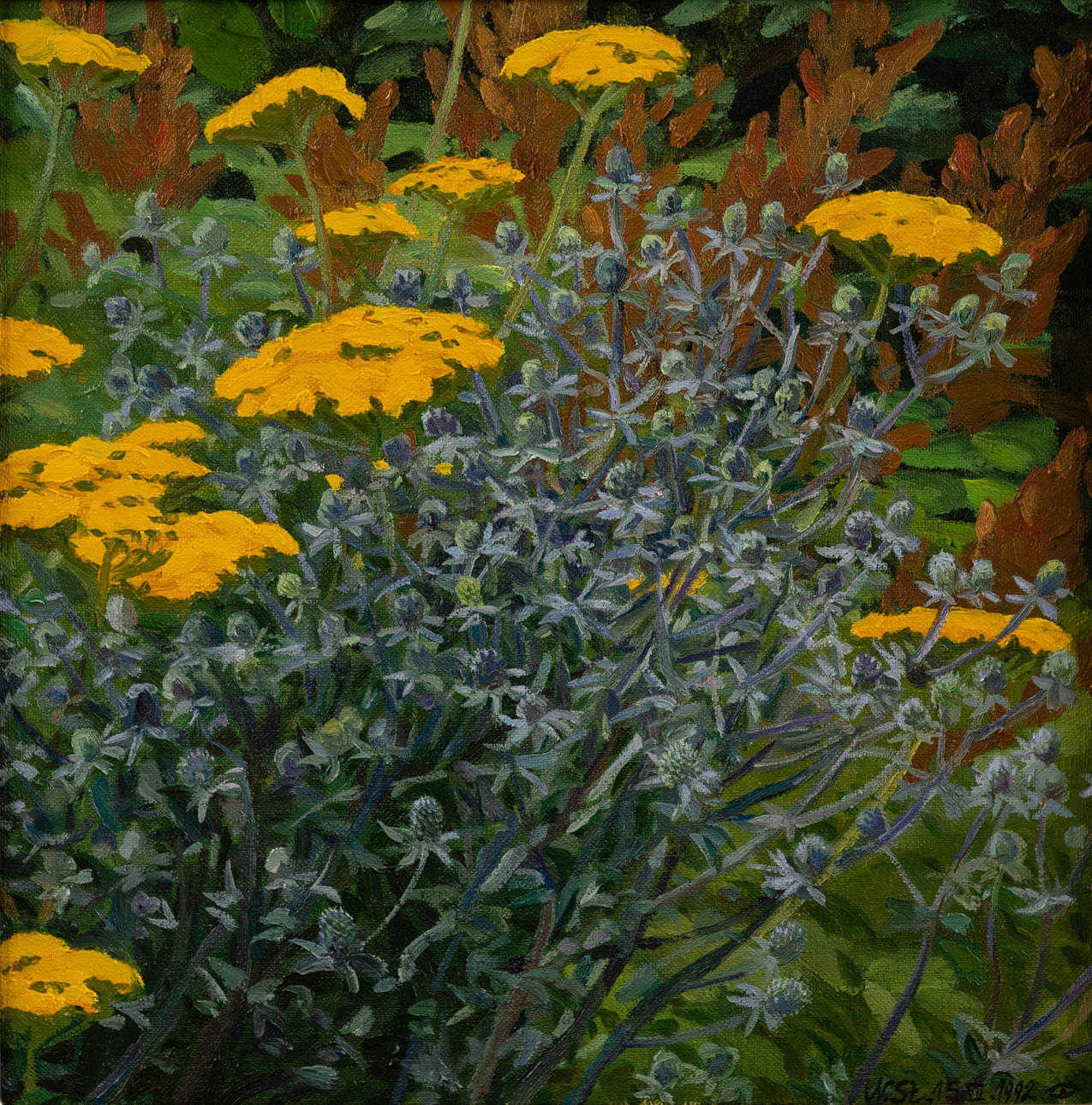 NIKOLAUS STÖRTENBECKER (1940-2022). Schafgarbe.