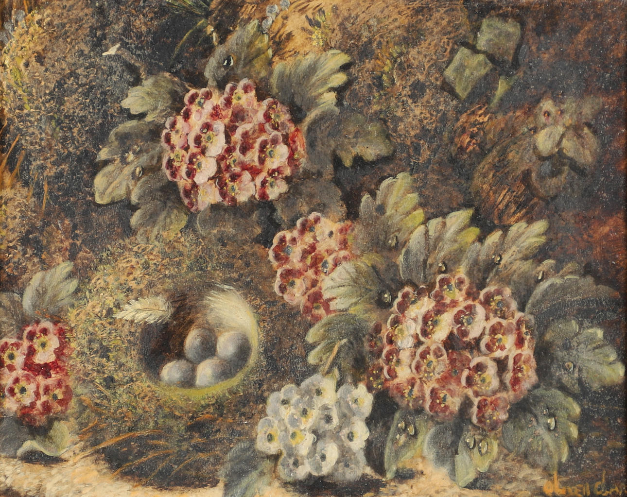 OLIVER CLARE (1852-1927). A BIRD'S NEST AND PRIMULA AGAINST A MOSSY BANK.