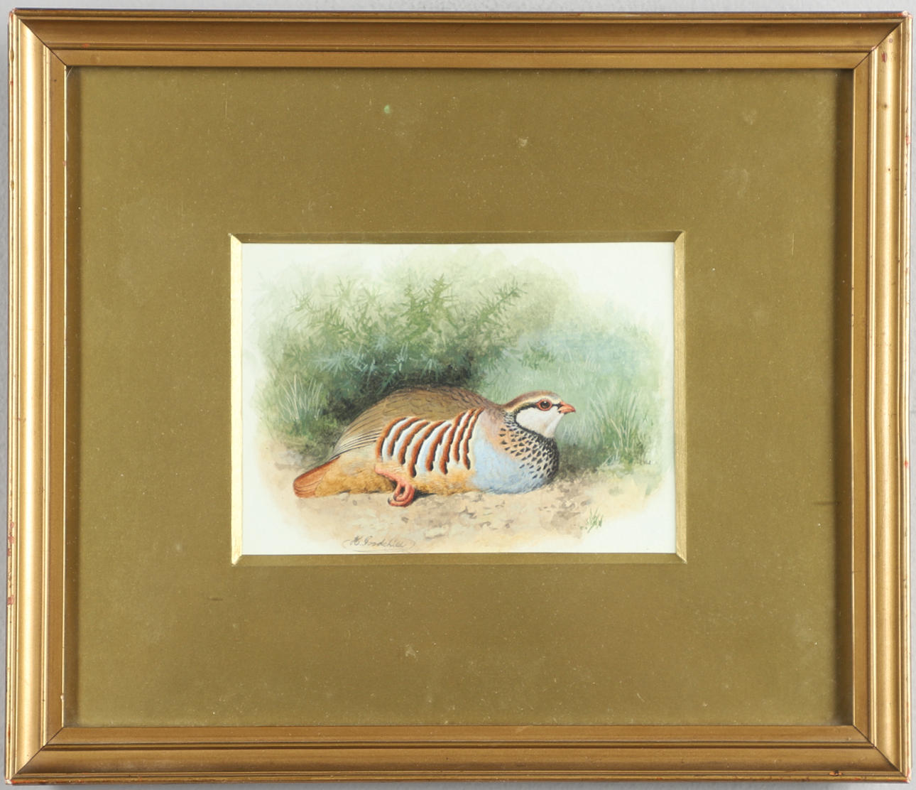 HERBERT GOODCHILD (1873-C.1919). PARTRIDGE.