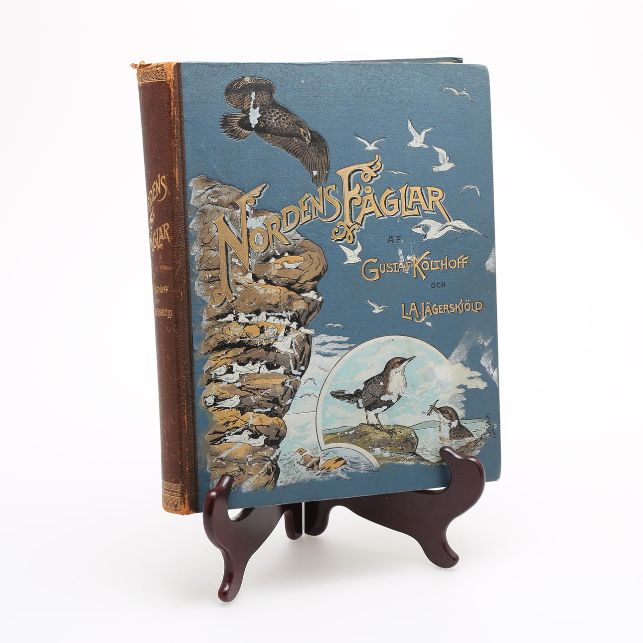 NORDENS FÅGLAR av Gustaf Kolthoff och L A Jägerskiöld, 1898.