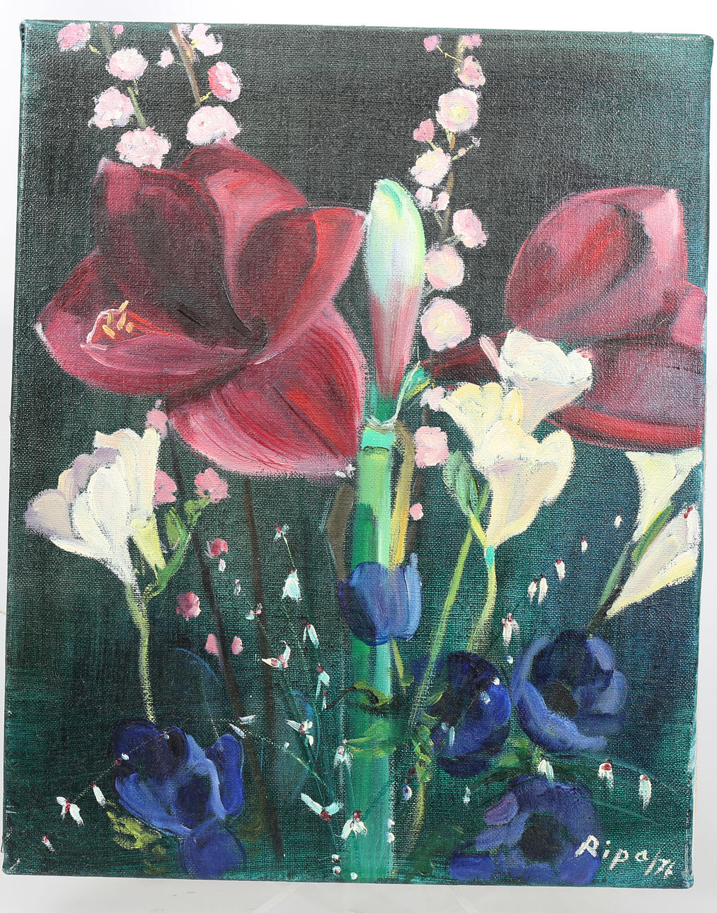 HANS RIPA. Olja på duk, "Röd amaryllis, fucsia, blå anemoner", signerad Ripa -76.