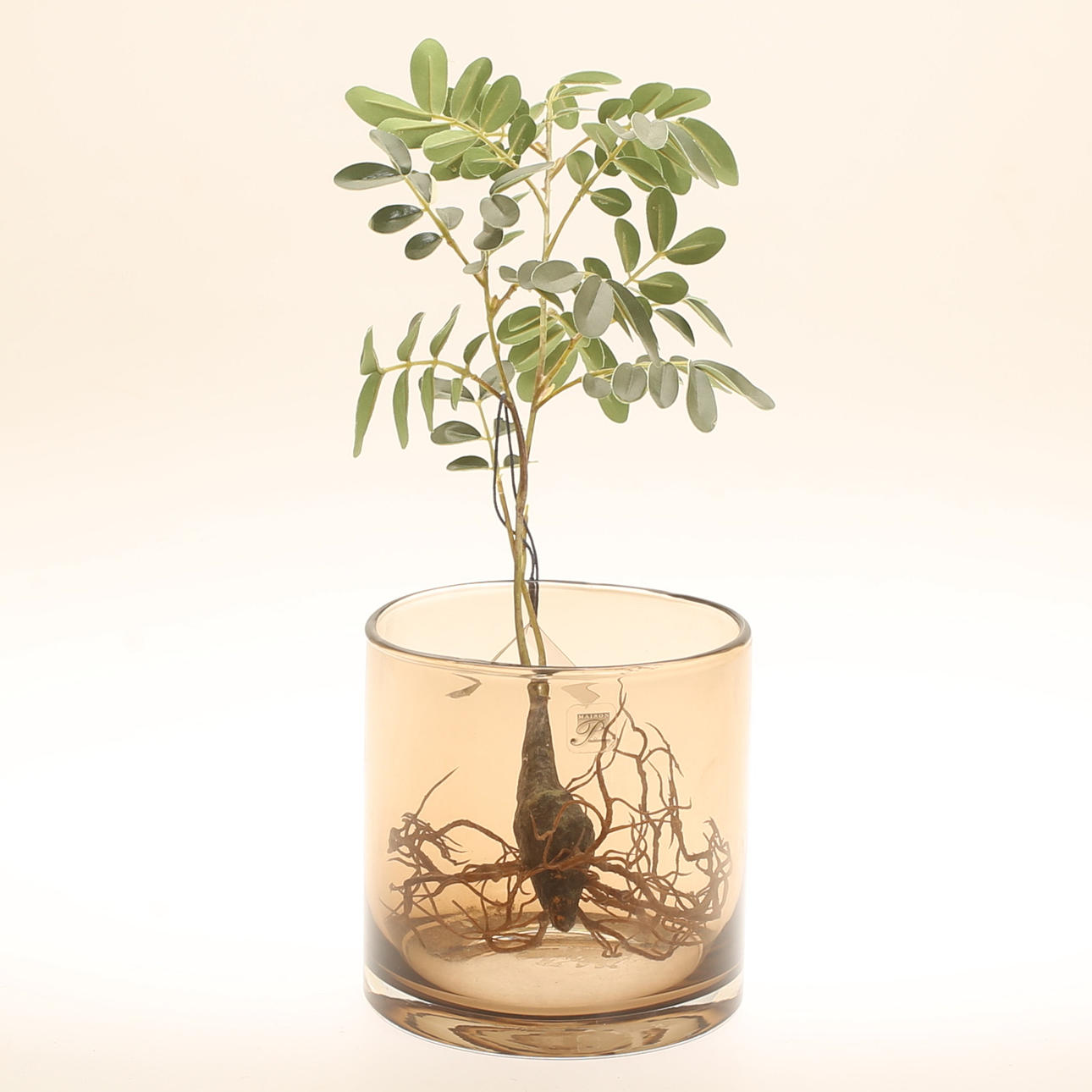 VASE, glass, Maison Pederrey.