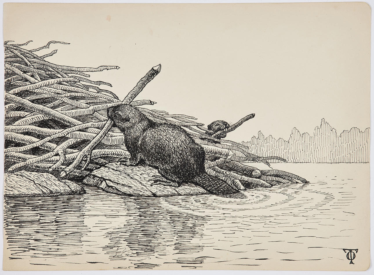 OLOF THUNMAN (1879-1944). TECKNING, föreställande bävrar, tusch/blyerts ...