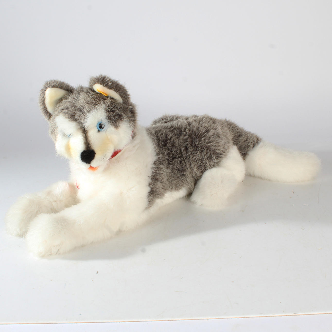 STEIFF HUSKY 'MOLLY' WITH BUTTON AND LABEL.