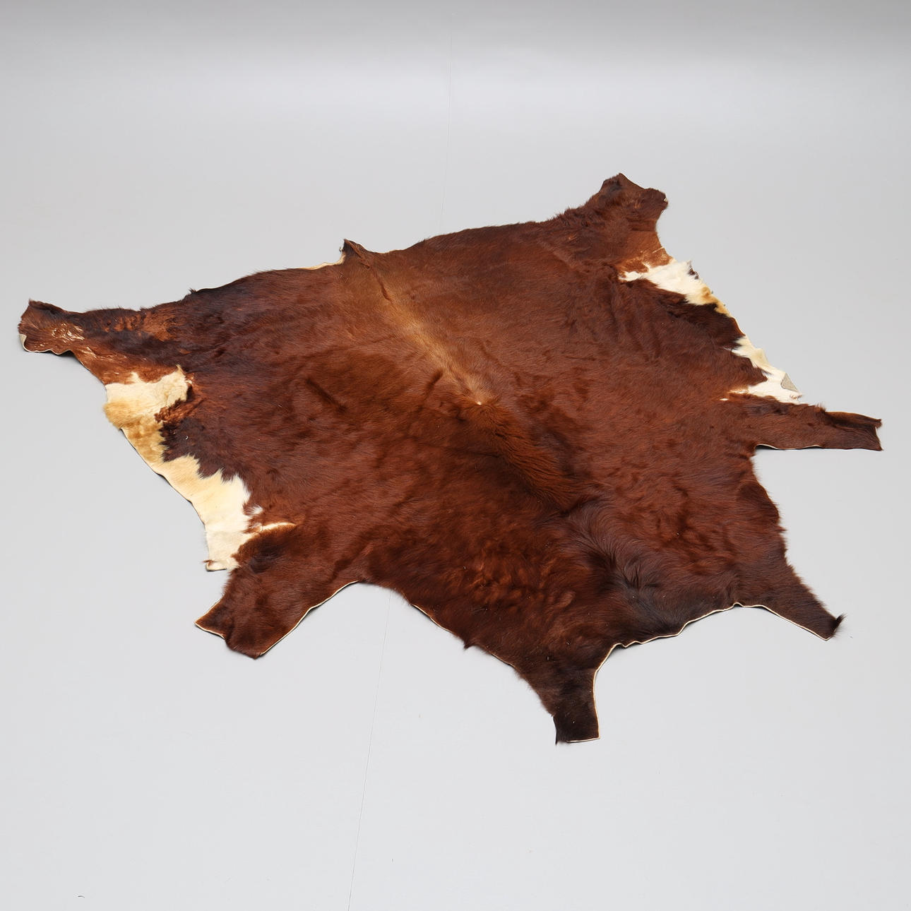 COW / COW LEATHER, mat, leather, brown.