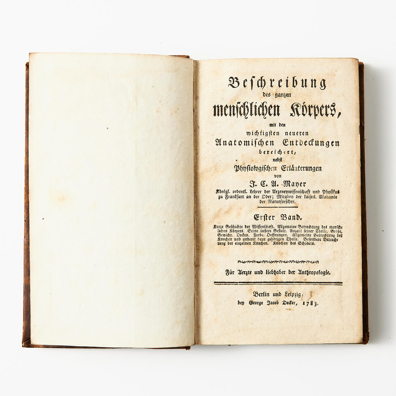 MAYER'S ANATOMY (8).