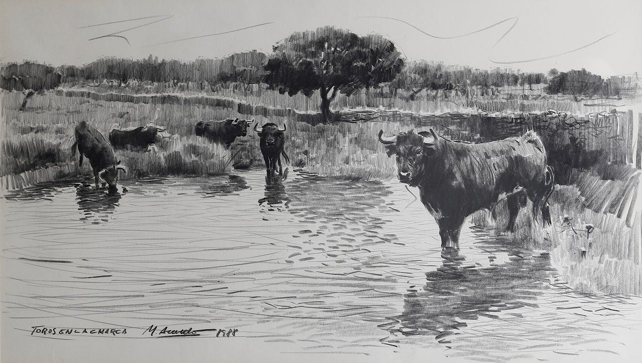 MIGUEL ACEVEDO. "Toros en la charca".
