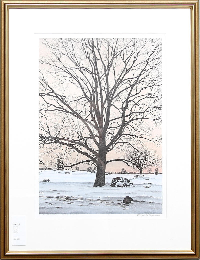 REINHOLD LJUNGGREN. Färglitografi, signerad och numrerad 298/300.
