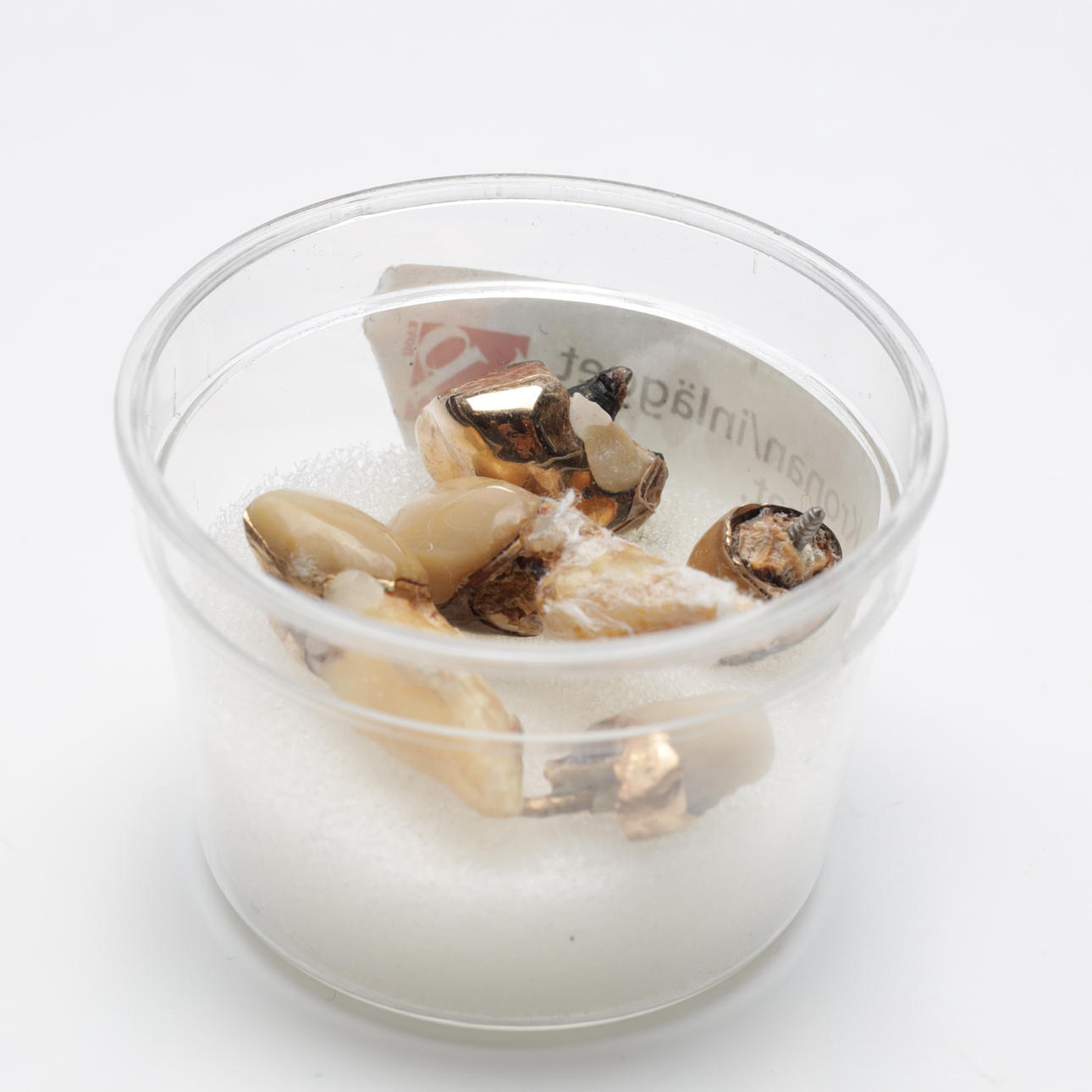 GULD TAND. Samlet vægt ca 14,2 gram.