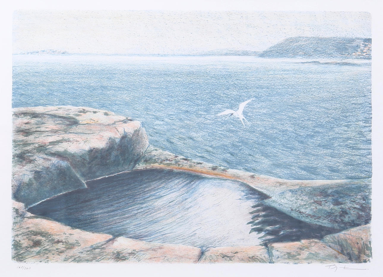 BJÖRN LINDROTH. Tern at havsvik. Color lithograph, signed and numbered 168/360.