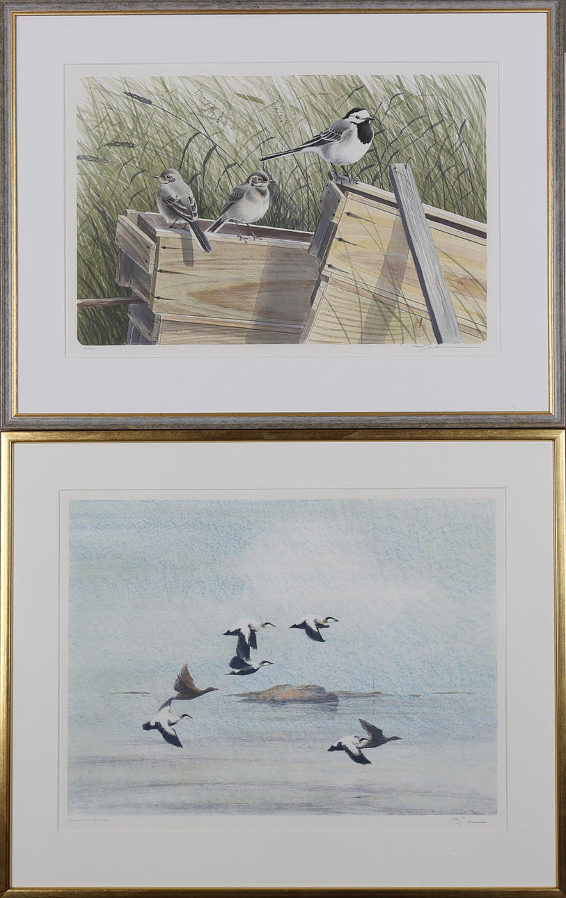BJÖRN LINDROTH. Fåglar, färgserigrafier 2 st, nr 104/250, eget tryck, signerade.