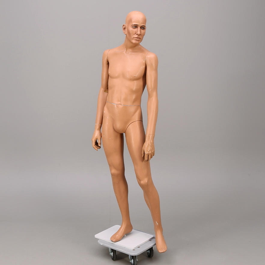 SKYLTDOCKA, man, Hindsgaul, Danmark.