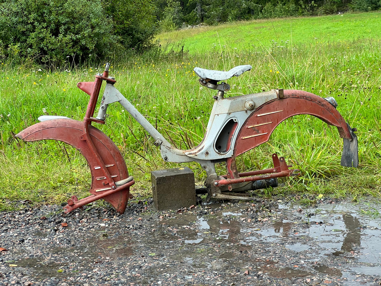 TEMPO, moped, model Swing.