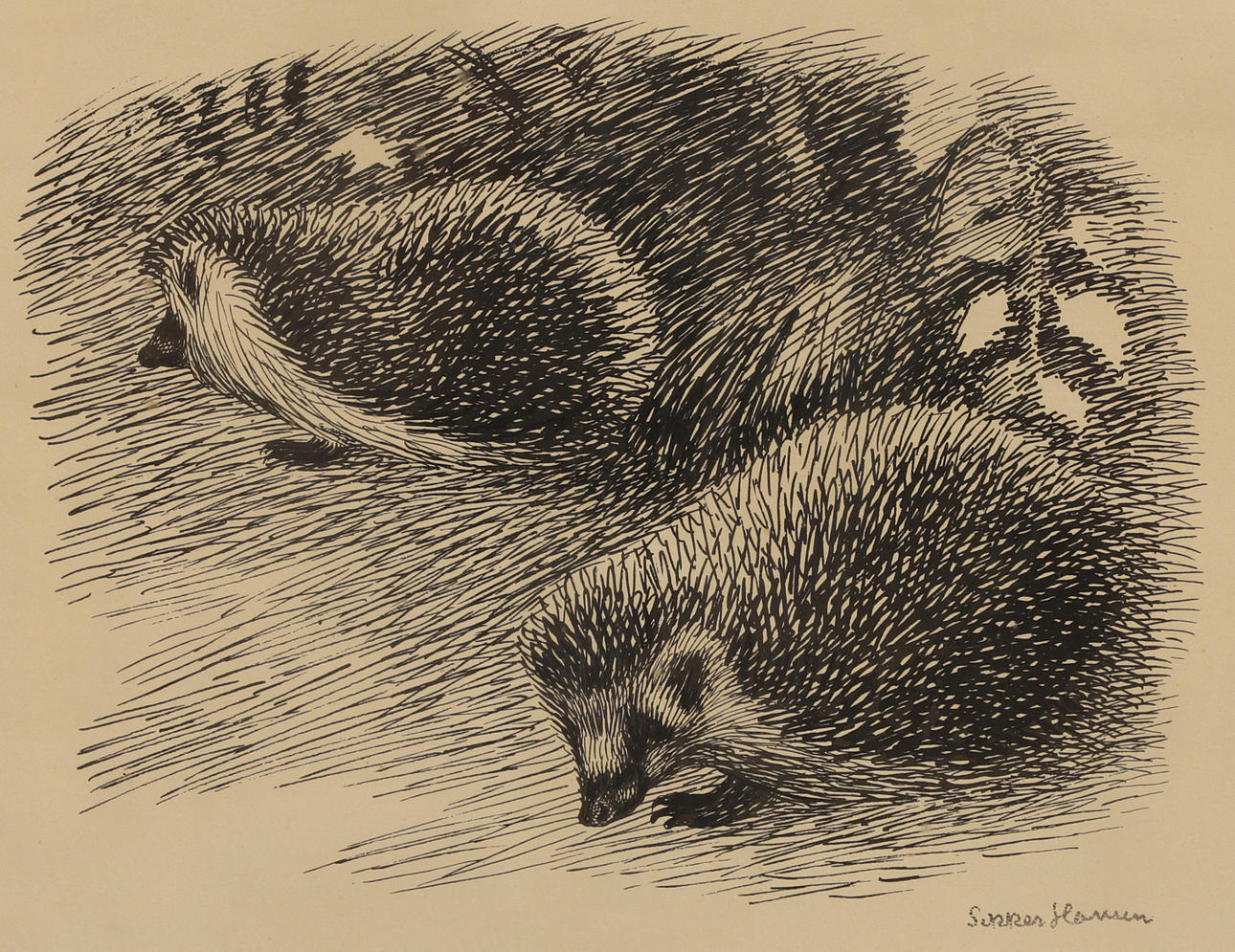 AAGE SIKKER HANSEN. Lithograph, hedgehogs, signed.