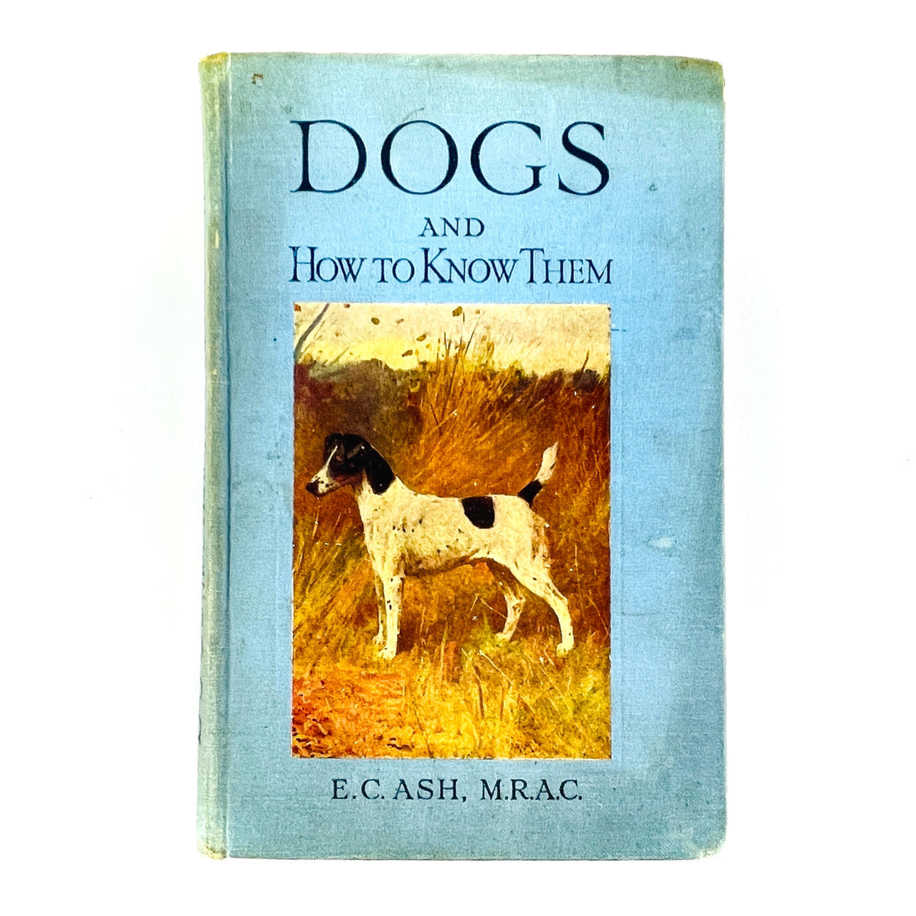 EDWARD C. ASH. 'PERROS Y CÓMO CONOCERLOS', 1925.