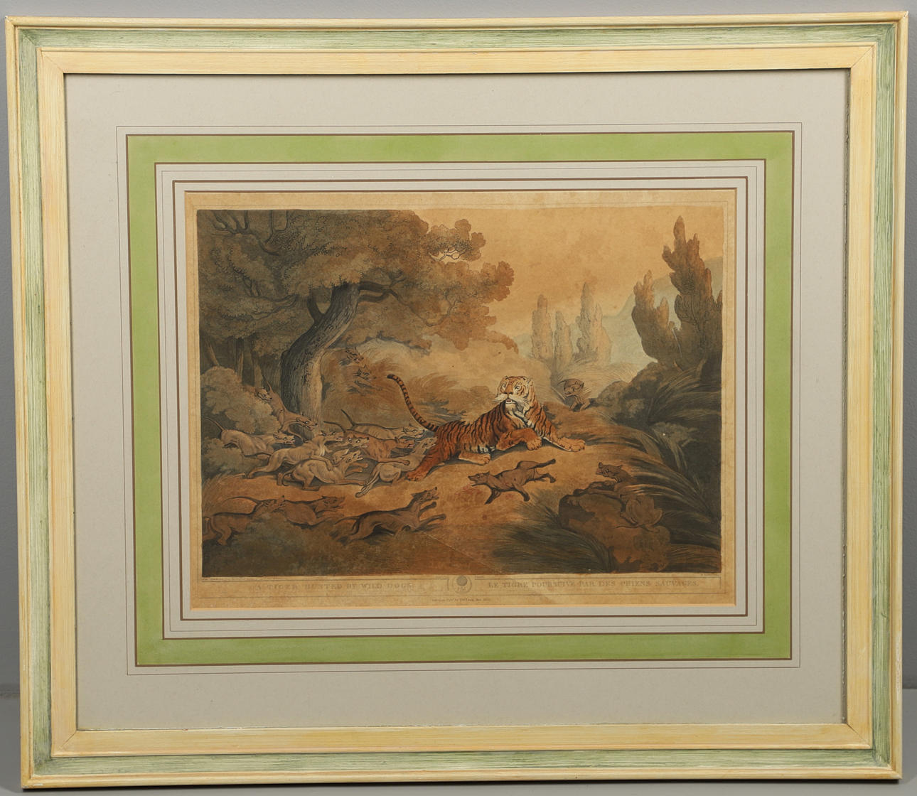 AFTER CAPTAIN THOMAS WILLIAMSON (1758-1817). A TIGER HUNTED BY WILD DOGS (Plate XXI from `ORIENTAL FIELD SPORTS`).
