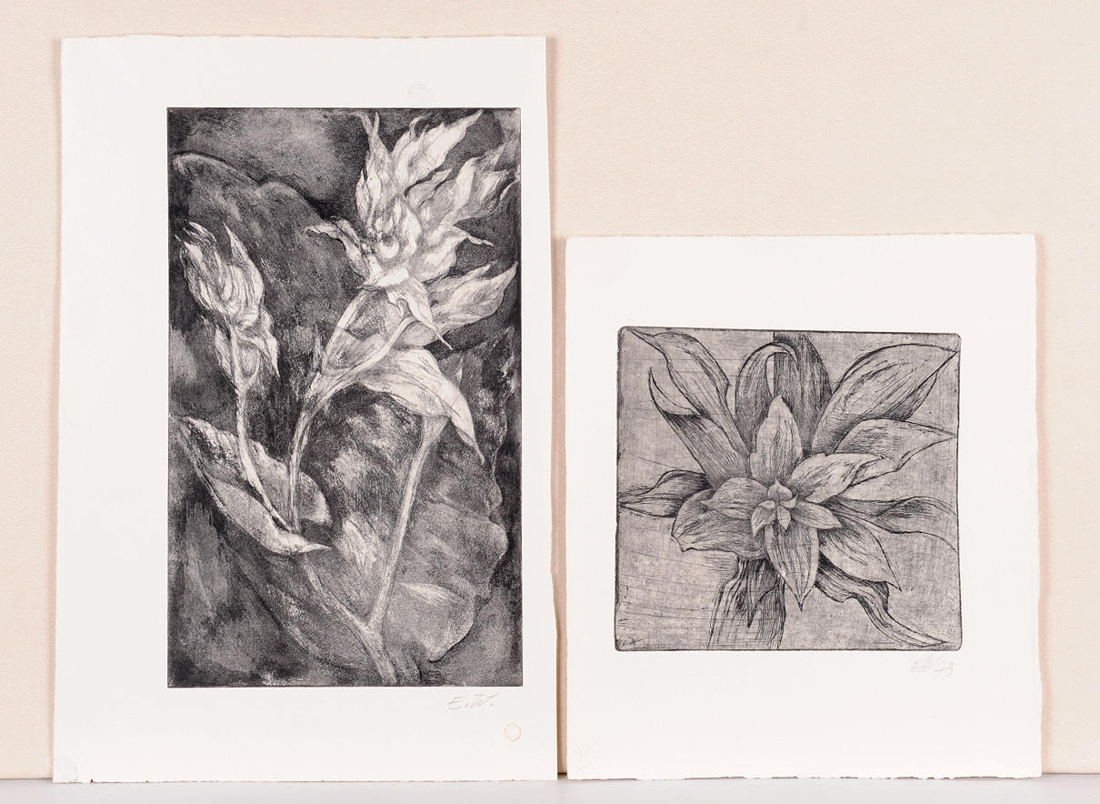 ERNST WOLFHAGEN. Blommetetsningar, 2 st, daterad 1973.