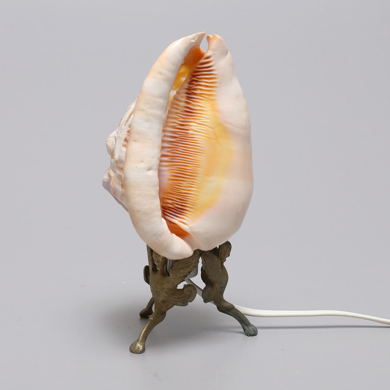 LAMPA, utskuren snäcka.