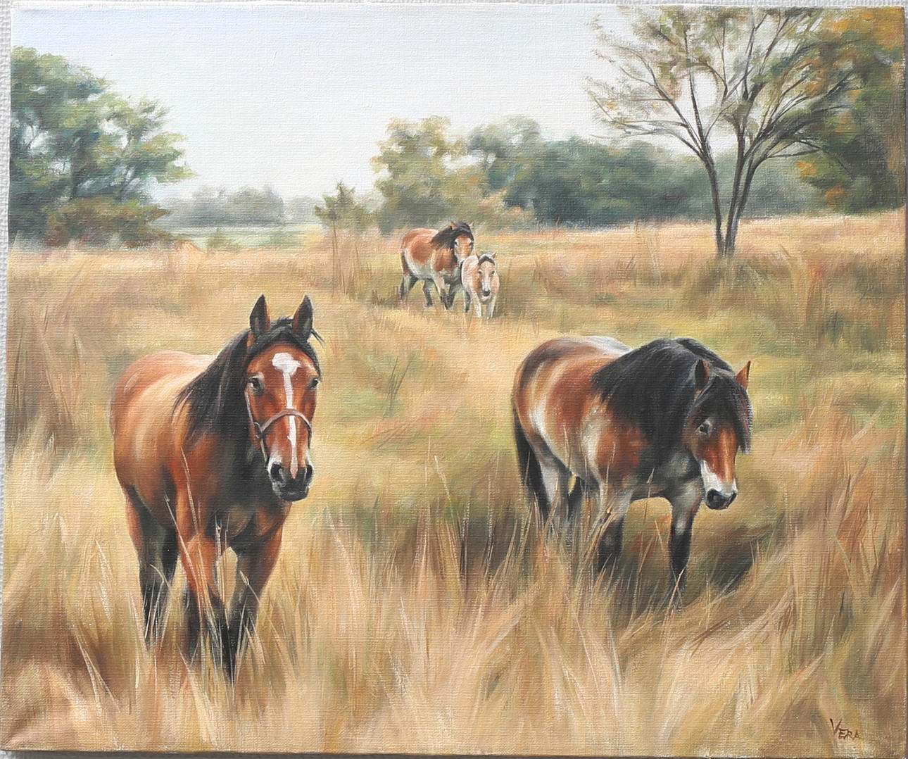 VERA VASILEVA. Hästar. Olja på duk, signerad Vera.