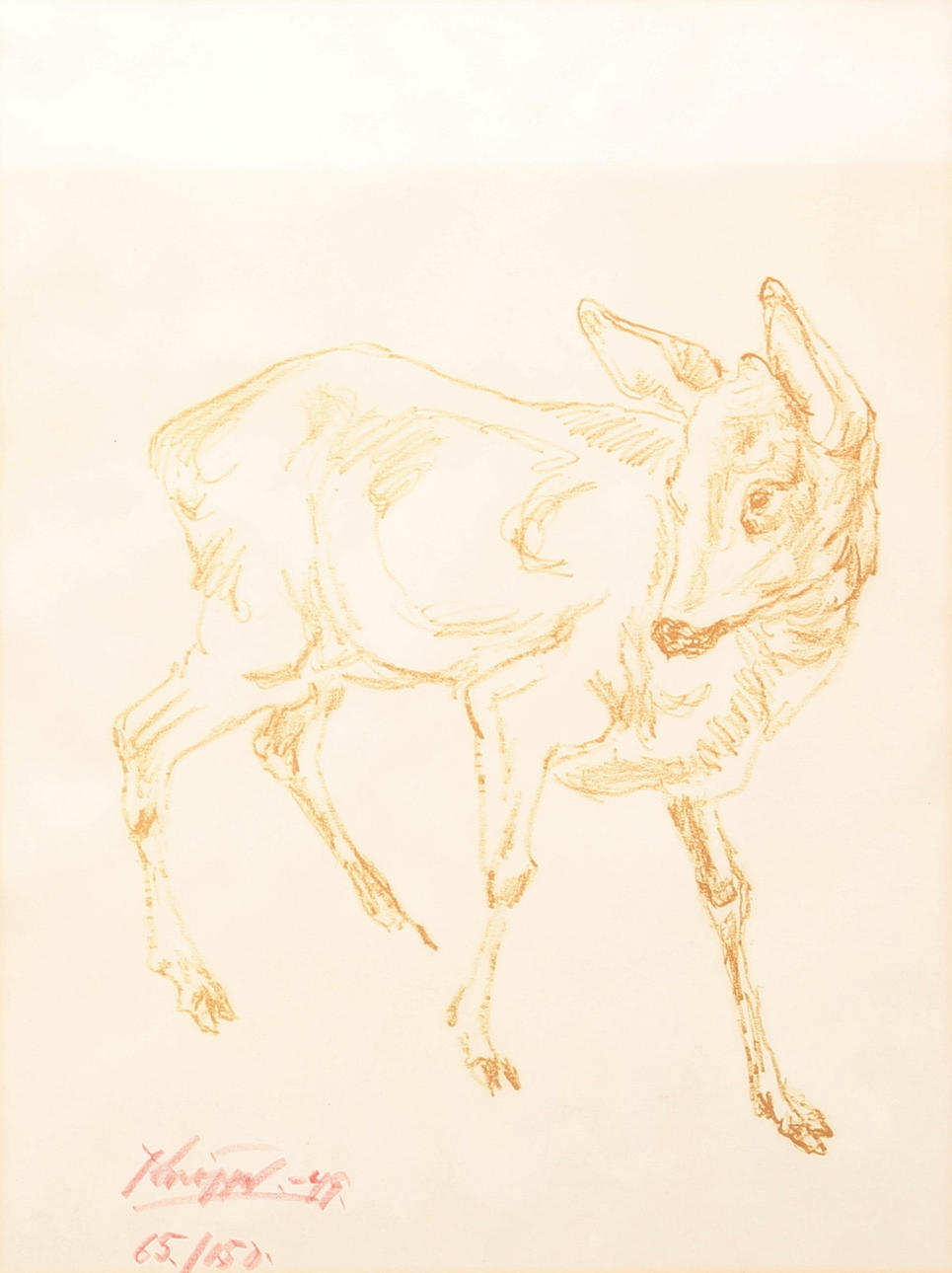 ARVID KNÖPPEL. Lithograph, deer, signed, numbered 65/150.