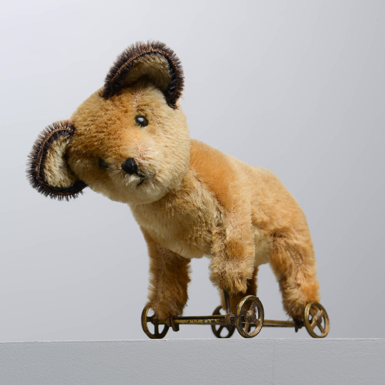 TOY DOG on wheels, 1910s.
