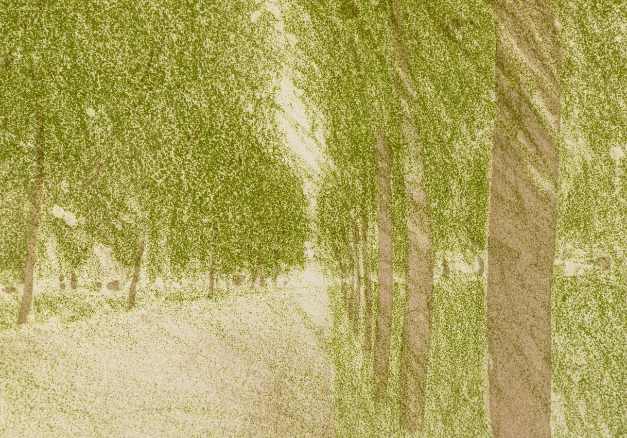 GOTTFRIED SALZMANN (GEB. 1943). Allee.