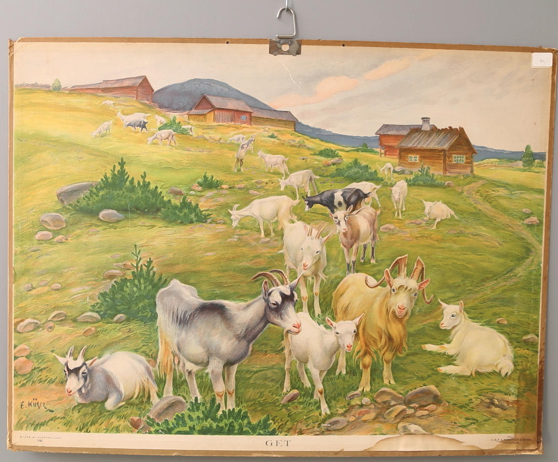 SKOLPLANSCH Get, Nordstedts, 1900-talets mitt.