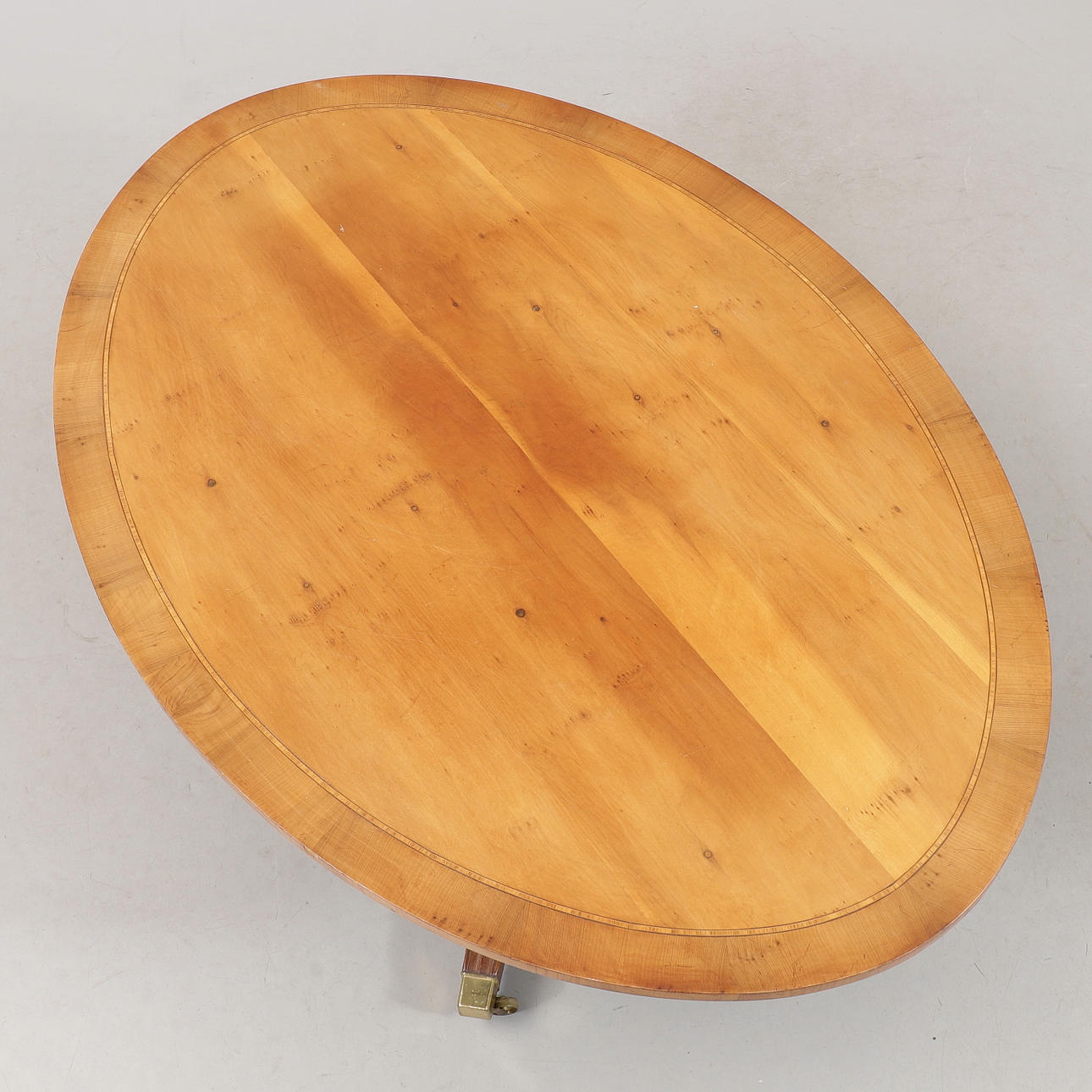 gummibaum topfgröße Ficus Elastica Tineke autruche | 150cm main image 1