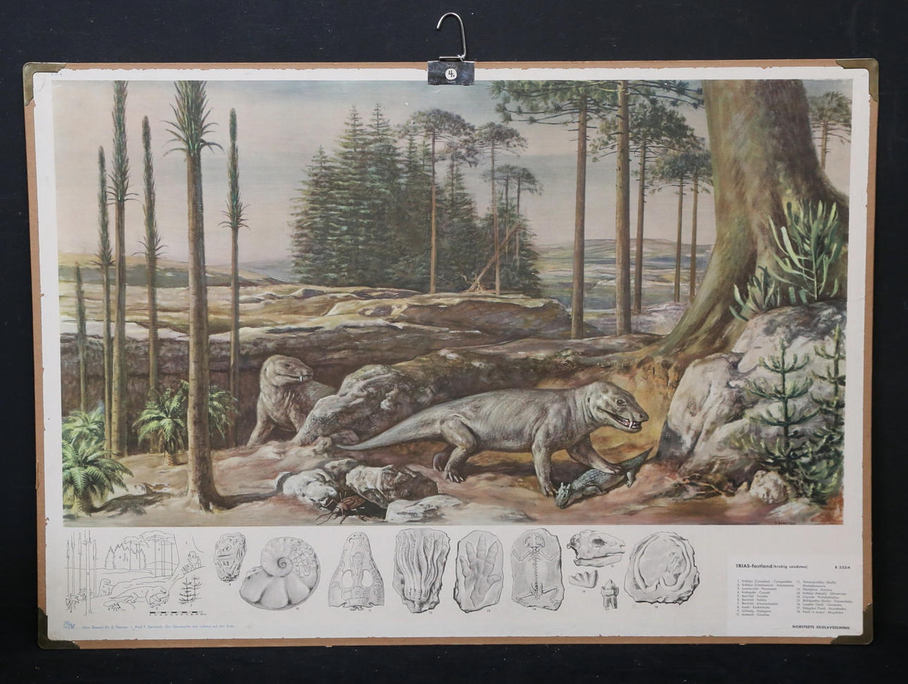 SKOLPLANSCH, Triásico continental (arenisca abigarrada).