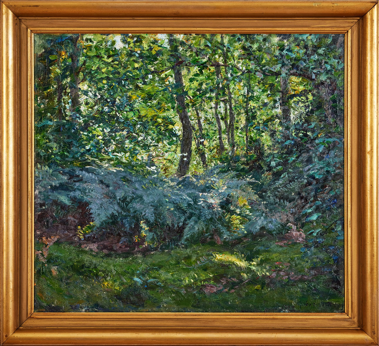 GOTTFRID KALLSTENIUS. Ferns.