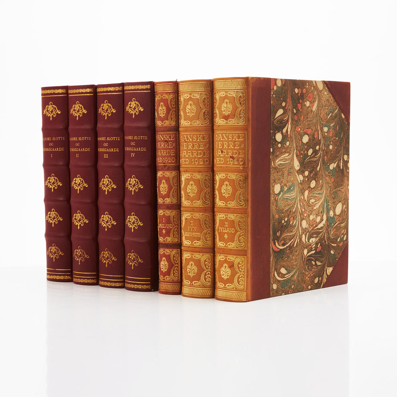 DANISH CASTLE AND MANSIONS (7).