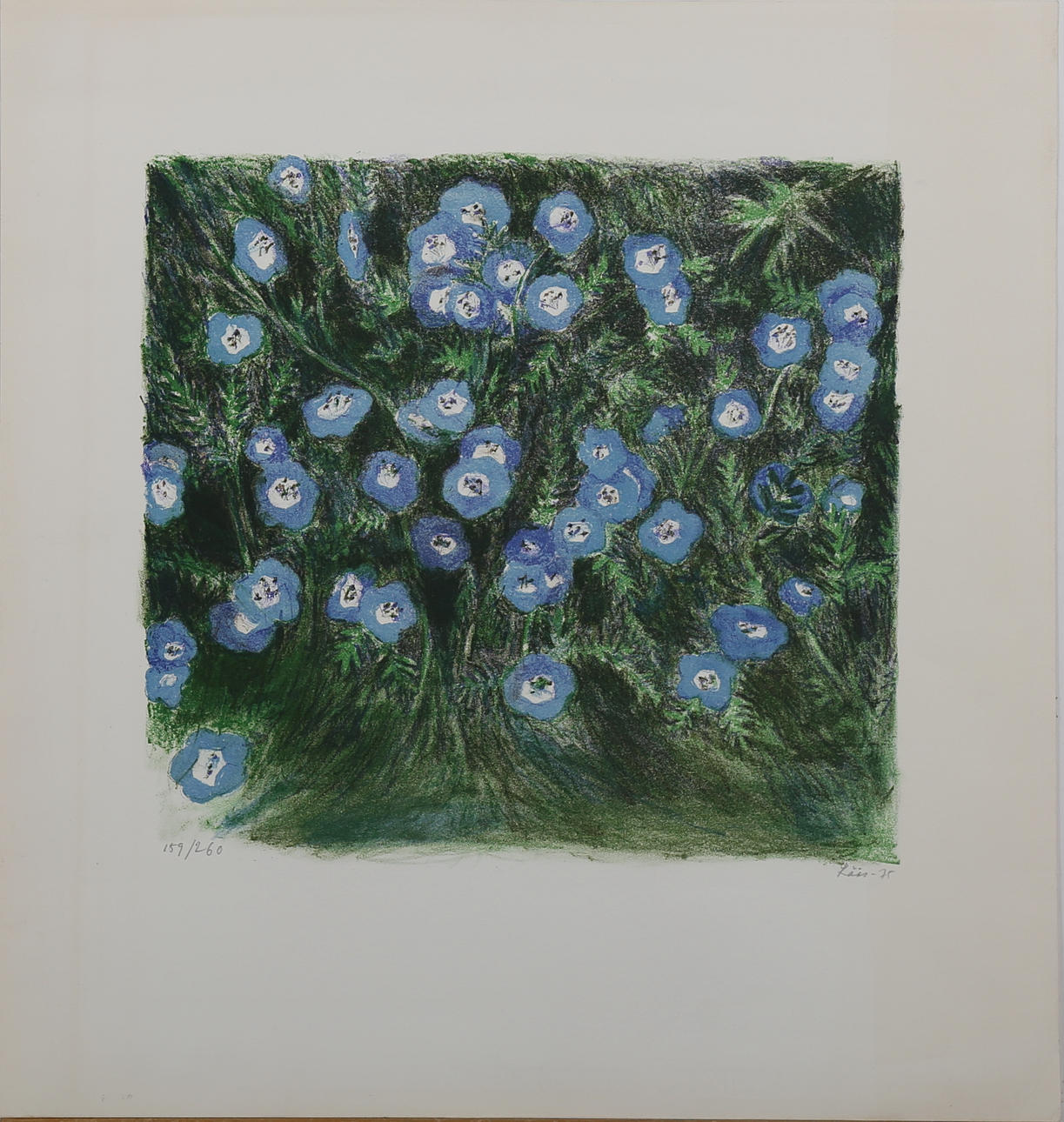 EVY LÅÅS. Sommarblommor, färglitografi nr 159/260, signerad Låås och daterad -75.