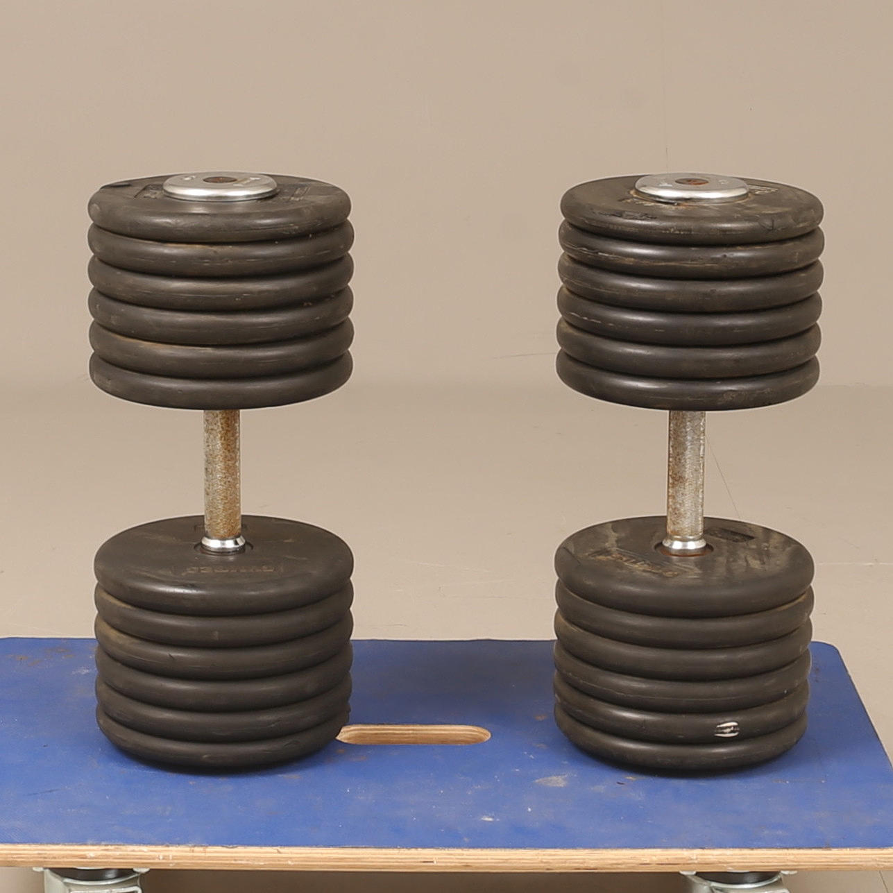 HANTELN, 2 Stück, Eisen, Gym Tec.