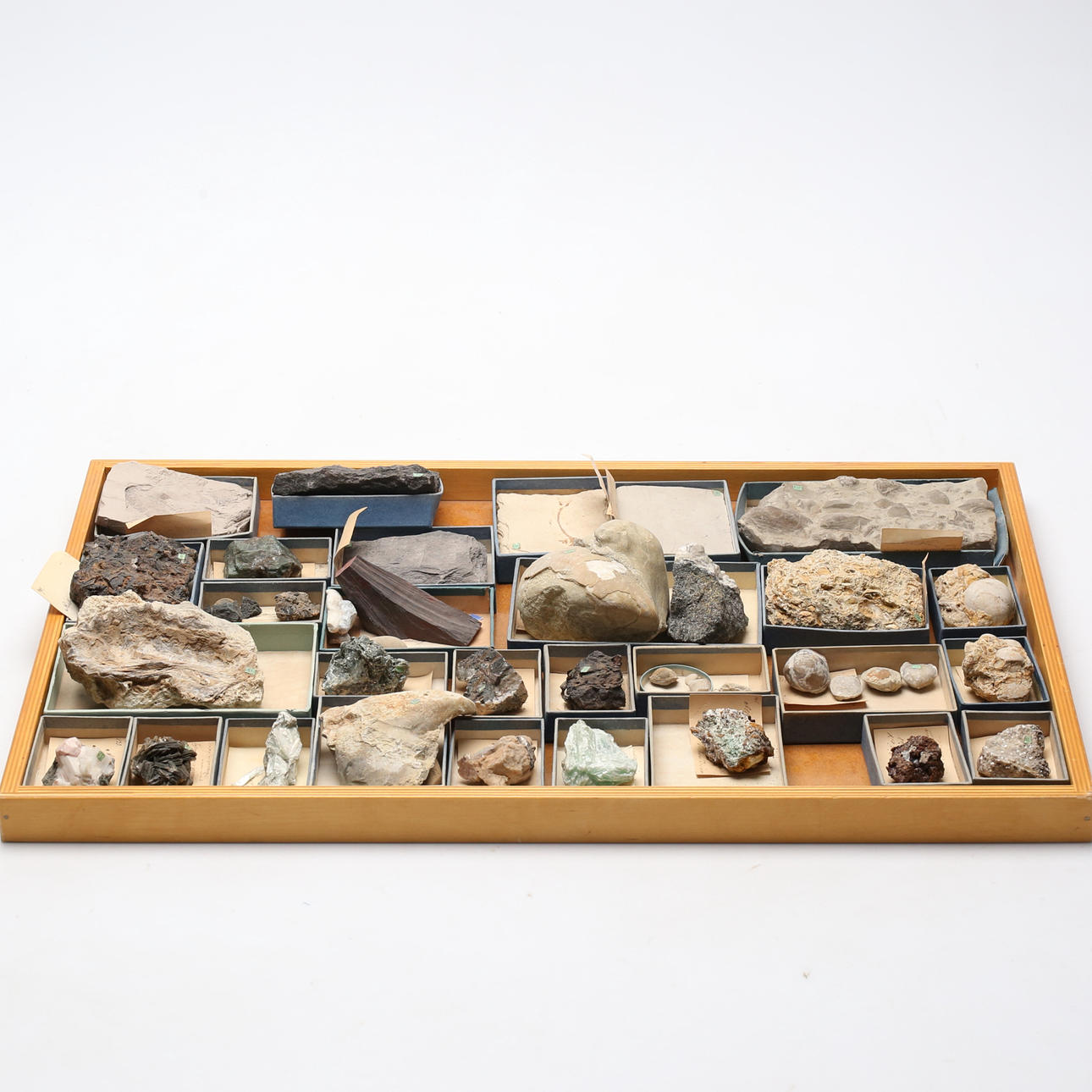 STONES/FOSSILS.