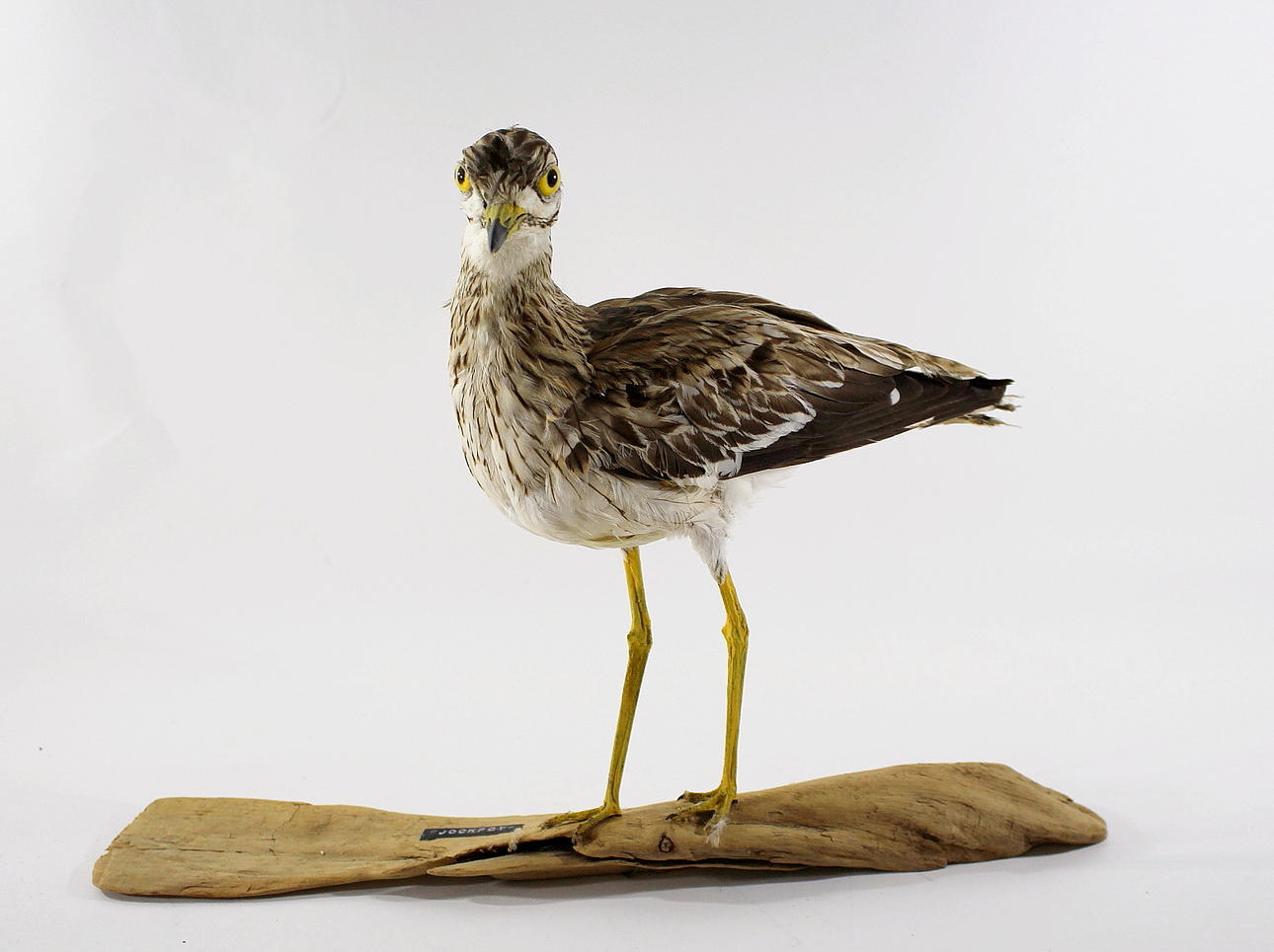 UPPSTOPPAD, TJOCKFOT.