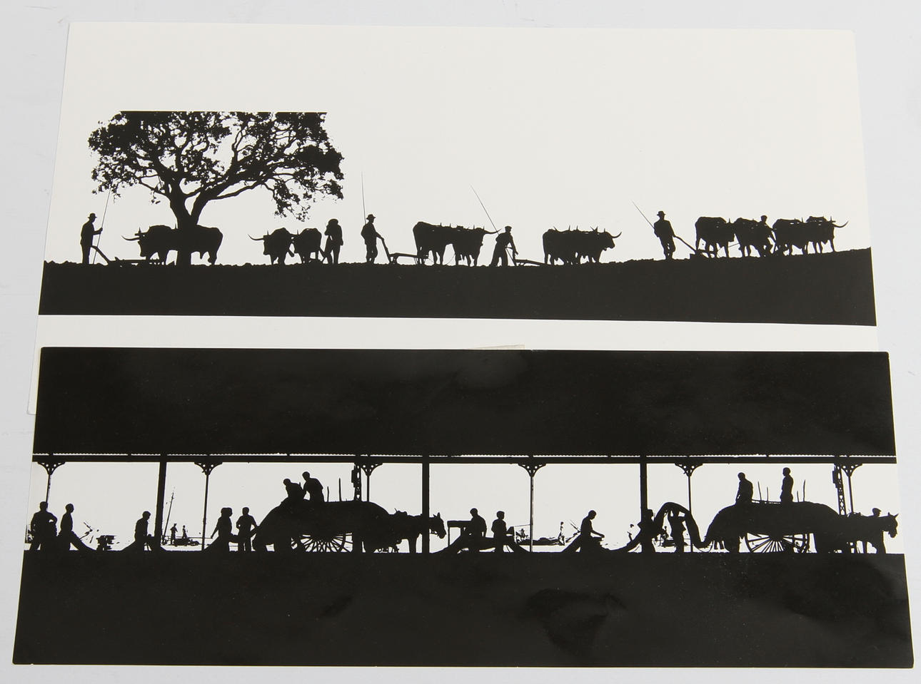 HARRY DITTMER. 2 st, print.