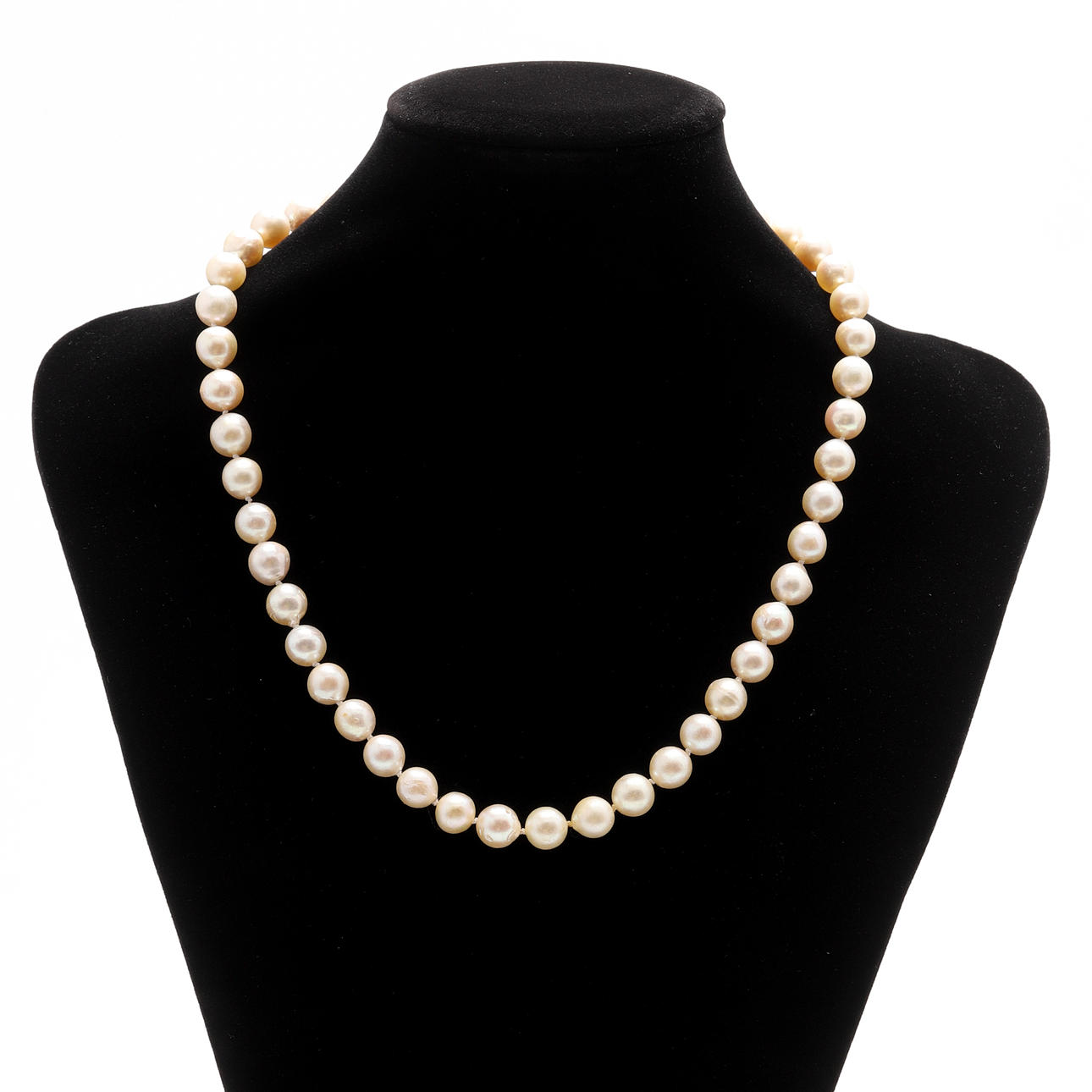 COLLIER, med lås i 18k vitguld. Odlade pärlor.