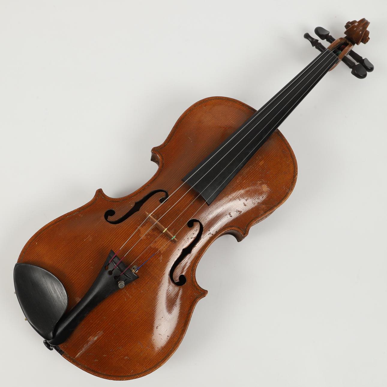 FIOL, Jacobus Stainer, Absam, Österreich.