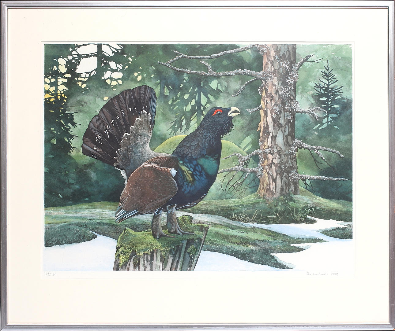 BO LUNDWALL. Tjäder, färglitografi, signerad, numrerad och daterad 58/190, 1990.