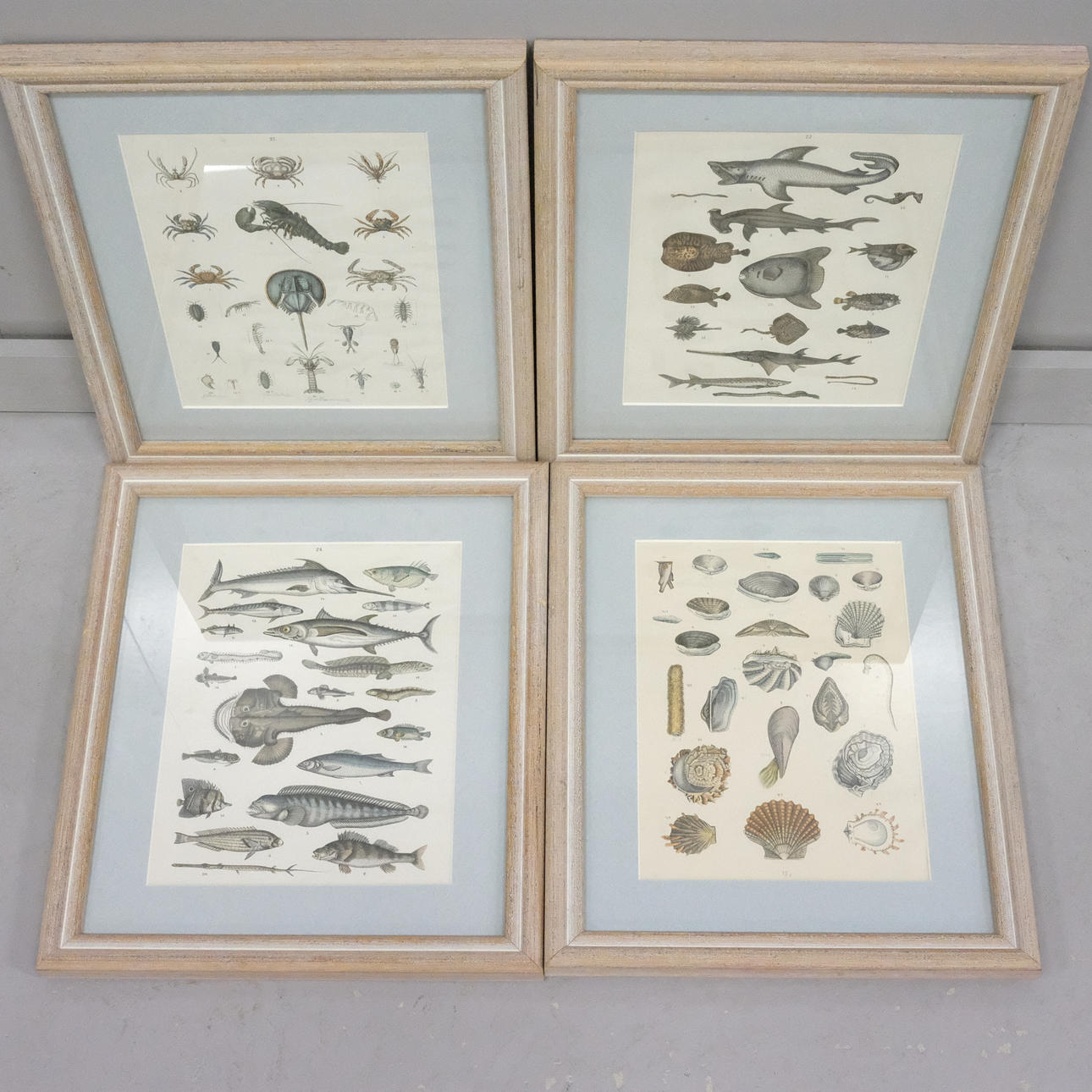 VIER BRETTER MIT TIEREN. NACH TRAUGOTT-BREMSE.