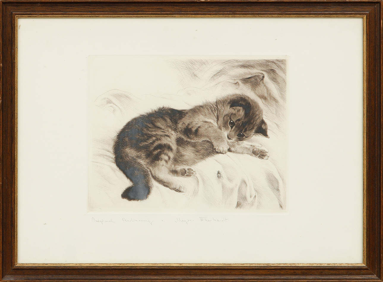 KURT MEYER-EBERHARDT. Kätzchen, Radierung, signiert.