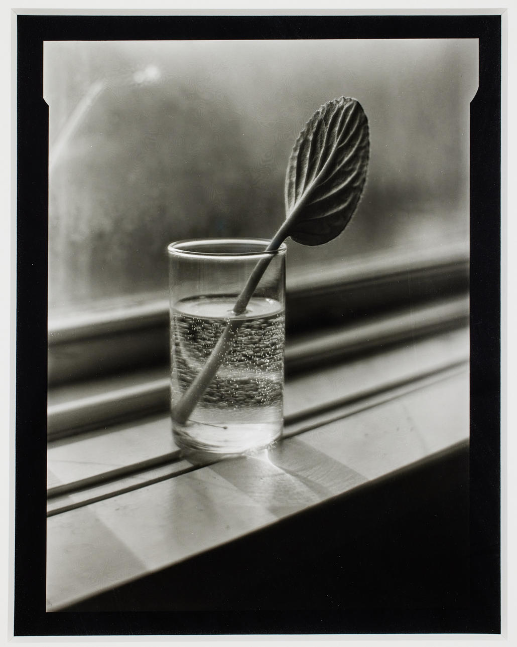 GUNNAR SMOLIANSKY. nimetön.